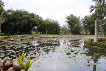 兴隆热带植物园