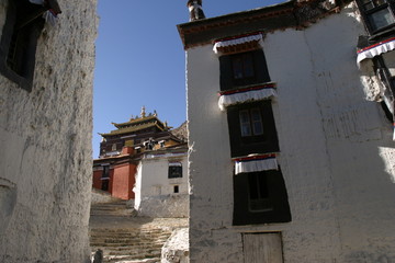 寺庙的白玛草墙