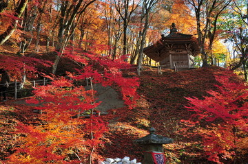 红叶和寺庙