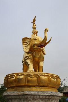 猴子骑大象头顶老雕像