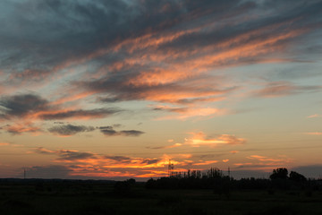 夕阳红