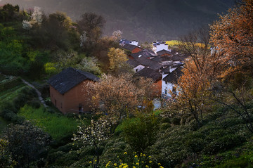 乡村全景