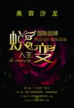 美容海報(bào)