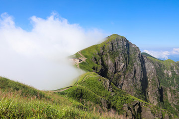 高山云雾