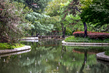 小区绿化水池景观