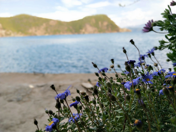 泸沽湖客栈