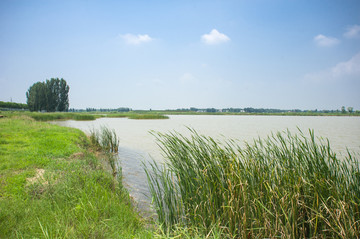 中牟雁鸣湖