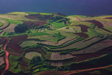 田园风光油画