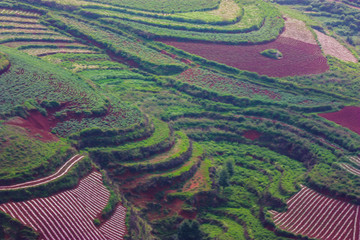 梯田油画