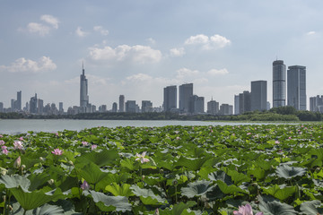 玄武湖