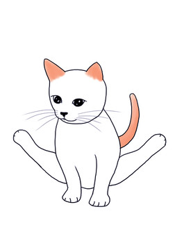 可愛貓瑜伽健身
