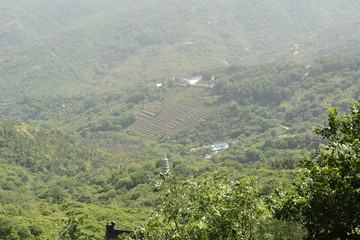 花果山