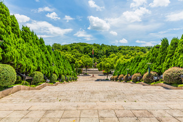 城市广场园艺