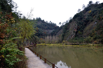 金家湾新农村景区