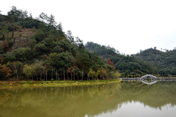 金家湾新农村景区