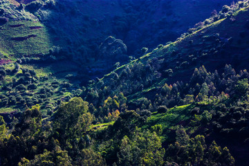 山林风光油画