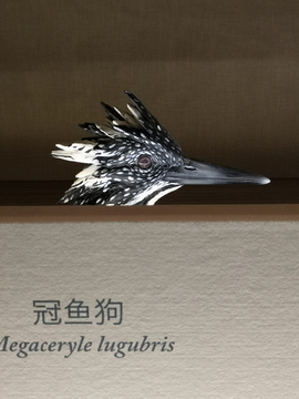 鸟头雕塑