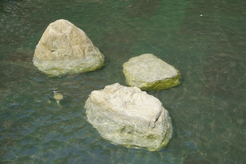 池塘小景和水面石头