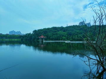 湖畔风景