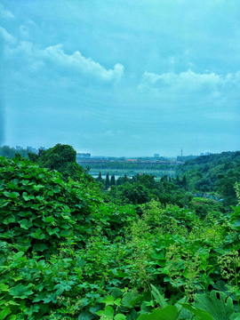 龙王山风景