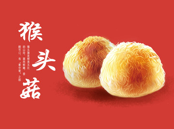 猴頭菇插畫