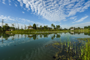 成都郫都区法治湿地公园