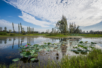 成都三道堰古镇彩虹桥湿地