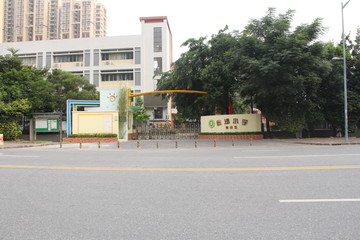 金沙小学