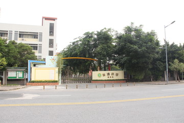 金沙小学