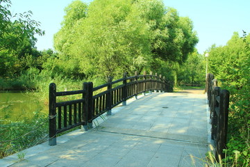 木桥