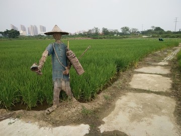 稻草人