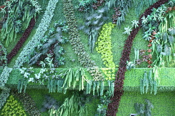 绿植墙