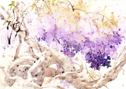 紫藤陽光