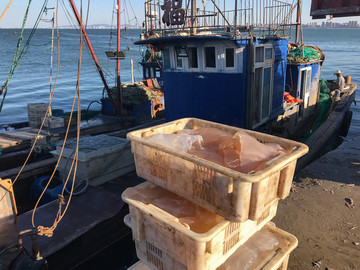 海边码头渔市场