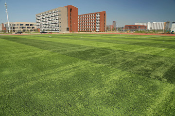 校园运动场草坪