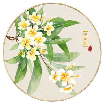 雞蛋花