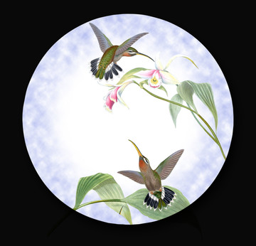 蜂鳥