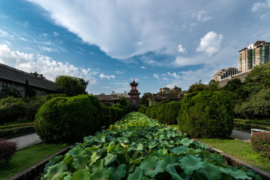 川大华西古钟楼