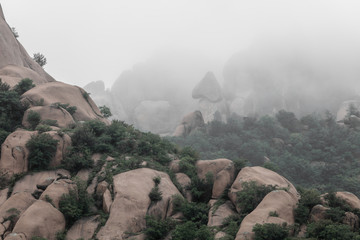 水墨风光装饰画