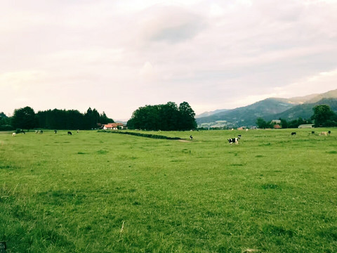 奥匈草原