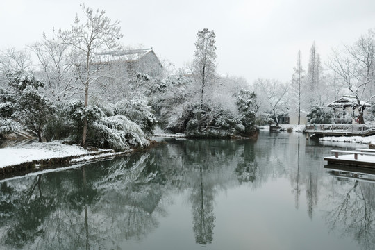 西溪初雪