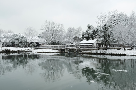 江南雪