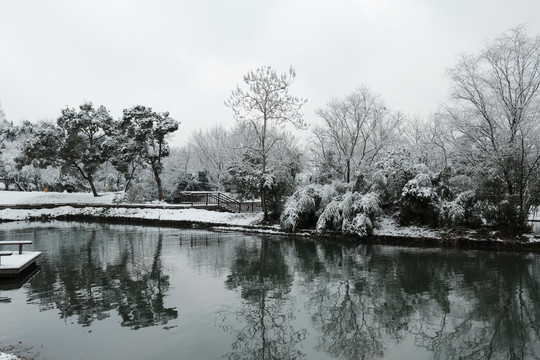 西溪湿地