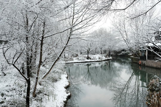 西溪雪景