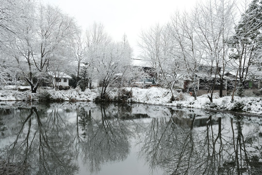 西溪雪景