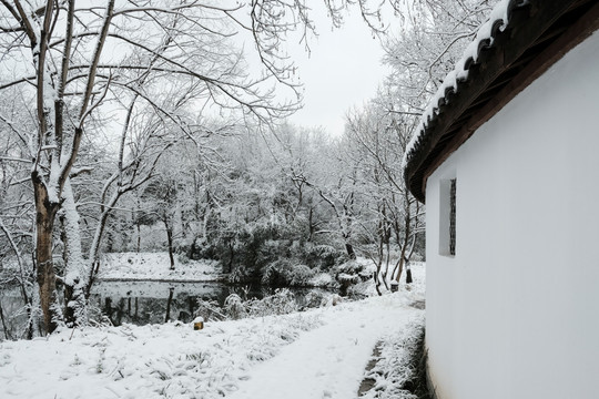 西溪雪景