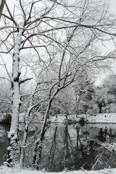 西溪雪景