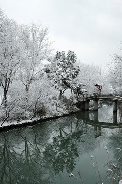 西溪瑞雪