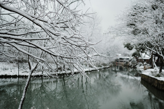 西溪雪景