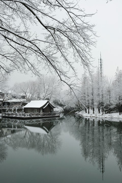 西溪雪景